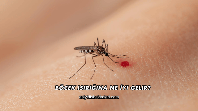 Böcek Isırığına Ne İyi Gelir?