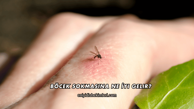 Böcek Sokmasına Ne İyi Gelir?