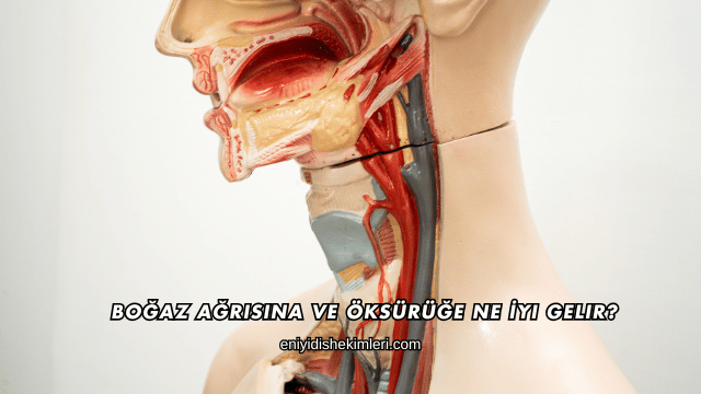 Boğaz Ağrısına ve Öksürüğe Ne İyi Gelir?