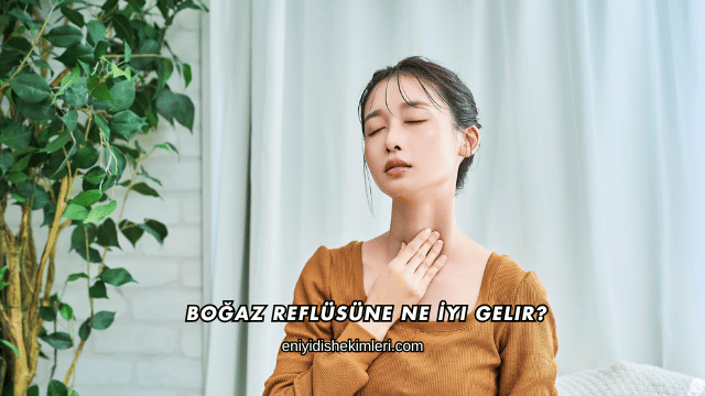 Boğaz Reflüsüne Ne İyi Gelir?