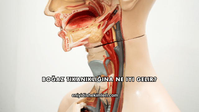 Boğaz tıkanıklığına ne iyi gelir?