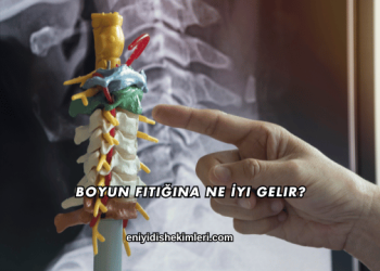 Boyun Fıtığına Ne İyi Gelir?