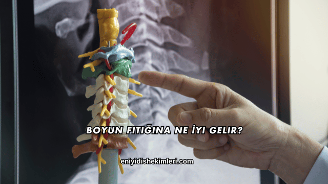 Boyun Fıtığına Ne İyi Gelir?