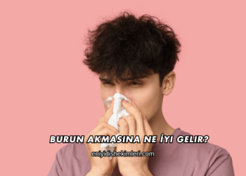 Burun Akmasına Ne İyi Gelir?