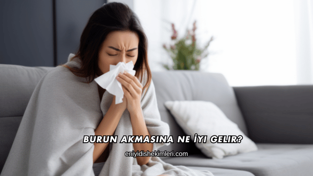 Burun Akmasına Ne İyi Gelir?