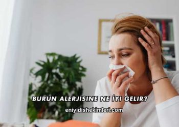 Burun Alerjisine Ne İyi Gelir?
