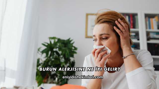 Burun Alerjisine Ne İyi Gelir?