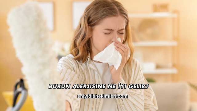 Burun Alerjisine Ne İyi Gelir?
