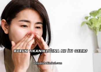 Burun Tıkanıklığına Ne İyi Gelir?