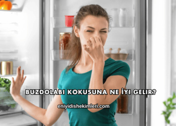 Buzdolabı Kokusuna Ne İyi Gelir?