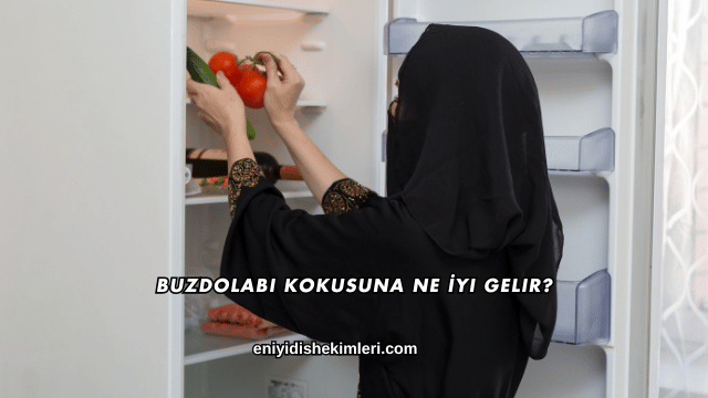 Buzdolabı Kokusuna Ne İyi Gelir?