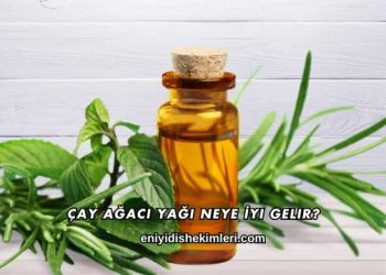 Çay Ağacı Yağı Neye İyi Gelir?