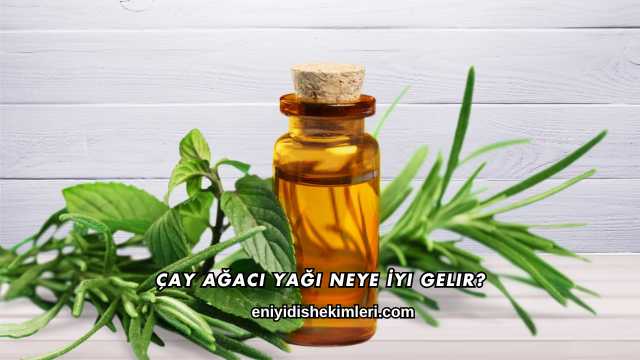 Çay Ağacı Yağı Neye İyi Gelir?