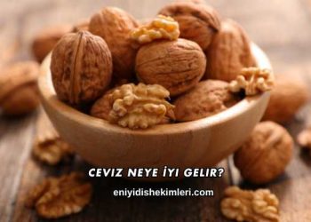 Ceviz Neye İyi Gelir?