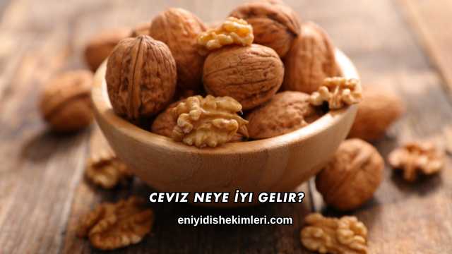 Ceviz Neye İyi Gelir?