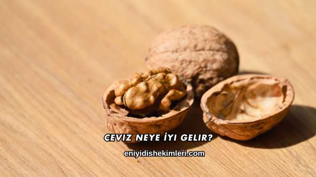 Ceviz Neye İyi Gelir?