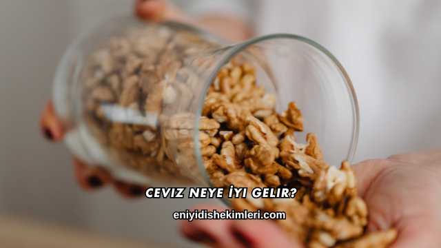 Ceviz Neye İyi Gelir?