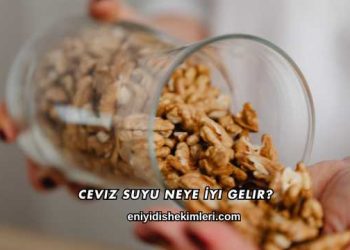 Ceviz Suyu Neye İyi Gelir?