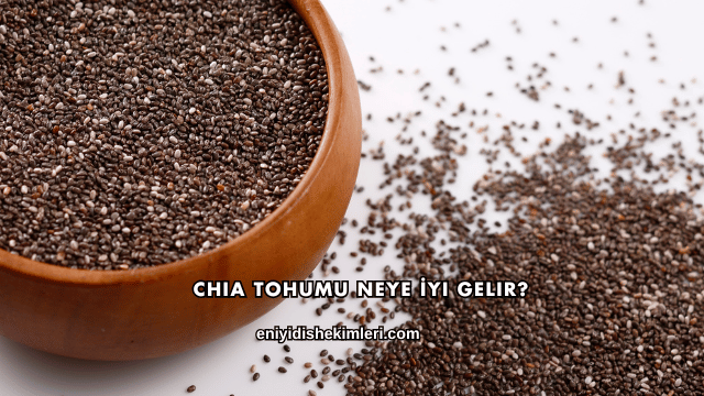 Chia Tohumu Neye İyi Gelir?