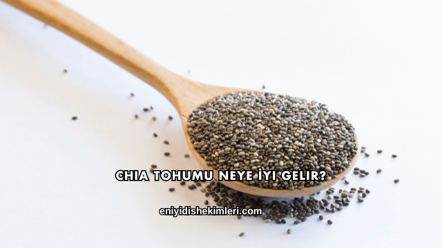 Chia Tohumu Neye İyi Gelir?