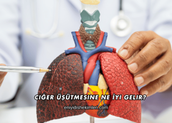 Ciğer Üşütmesine Ne İyi Gelir?