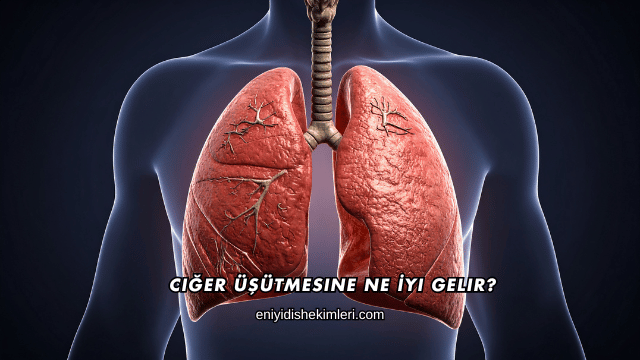 Ciğer Üşütmesine Ne İyi Gelir?