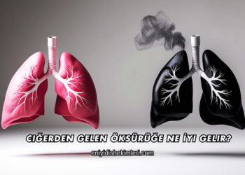 Ciğerden Gelen Öksürüğe Ne İyi Gelir?