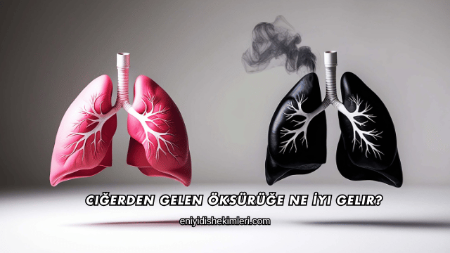 Ciğerden Gelen Öksürüğe Ne İyi Gelir?