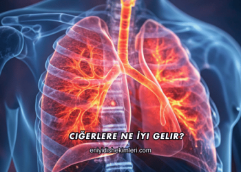 Ciğerlere Ne İyi Gelir?