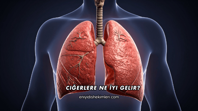Ciğerlere Ne İyi Gelir?