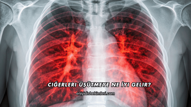 Ciğerleri Üşütmeye Ne İyi Gelir?