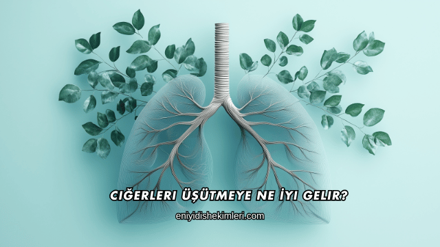 Ciğerleri Üşütmeye Ne İyi Gelir?