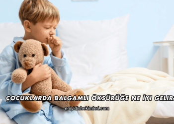 Çocuklarda Balgamlı Öksürüğe Ne İyi Gelir?