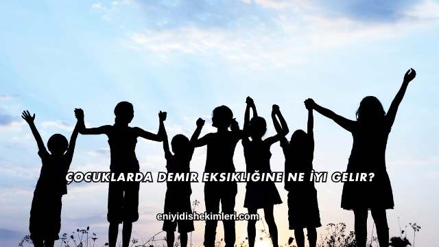 Çocuklarda Demir Eksikliğine Ne İyi Gelir?