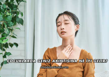 Çocuklarda Geniz Akıntısına Ne İyi Gelir?