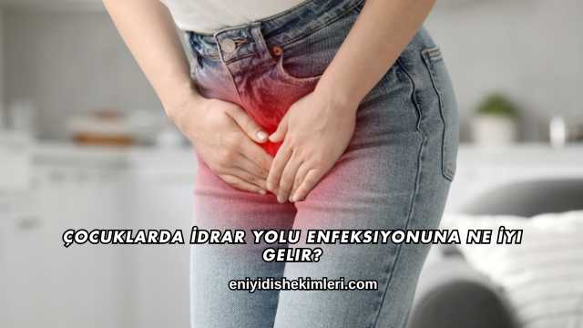 Çocuklarda İdrar Yolu Enfeksiyonuna Ne İyi Gelir?