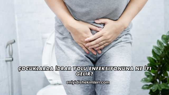 Çocuklarda İdrar Yolu Enfeksiyonuna Ne İyi Gelir?