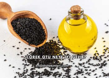 Çörek Otu Neye İyi Gelir?