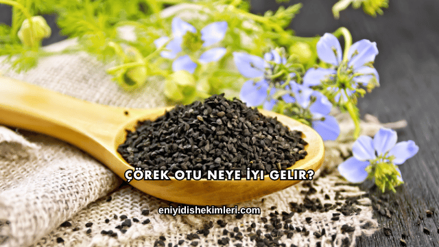 Çörek Otu Neye İyi Gelir?