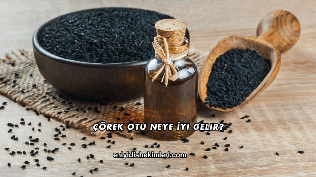 Çörek Otu Neye İyi Gelir?