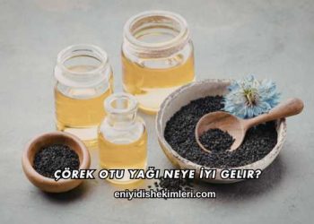 Çörek Otu Yağı Neye İyi Gelir?