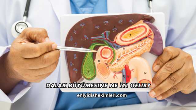 Dalak Büyümesine Ne İyi Gelir?