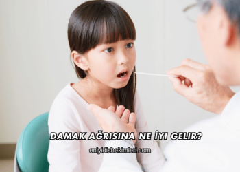 Damak Ağrısına Ne İyi Gelir?