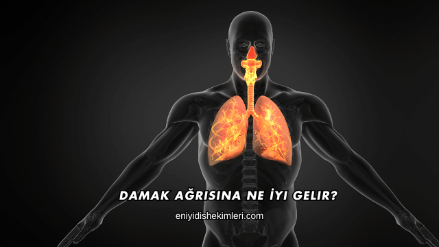 Damak Ağrısına Ne İyi Gelir?