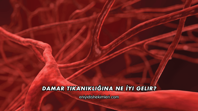 Damar Tıkanıklığına Ne İyi Gelir?