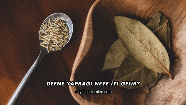 Defne Yaprağı Neye İyi Gelir?