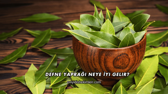 Defne Yaprağı Neye İyi Gelir?