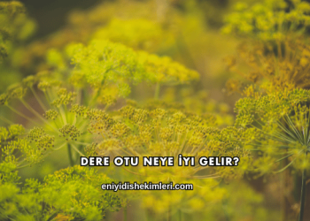 Dere Otu Neye İyi Gelir?