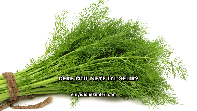 Dere Otu Neye İyi Gelir?