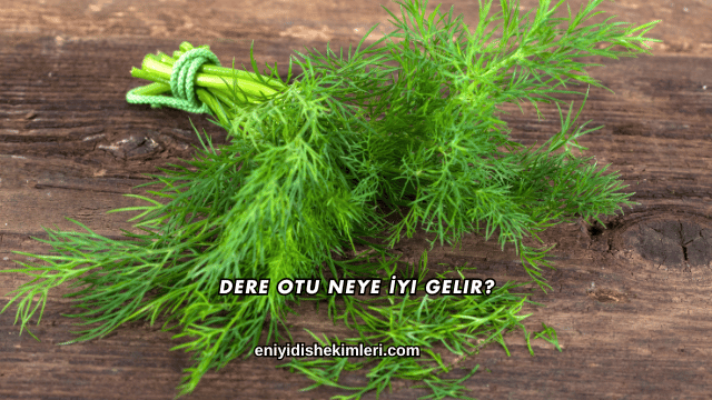 Dere Otu Neye İyi Gelir?